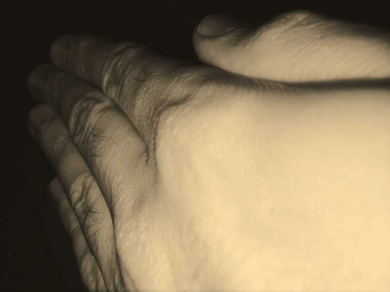 Illustration for article titled 10 Revealing Photos Of Skin